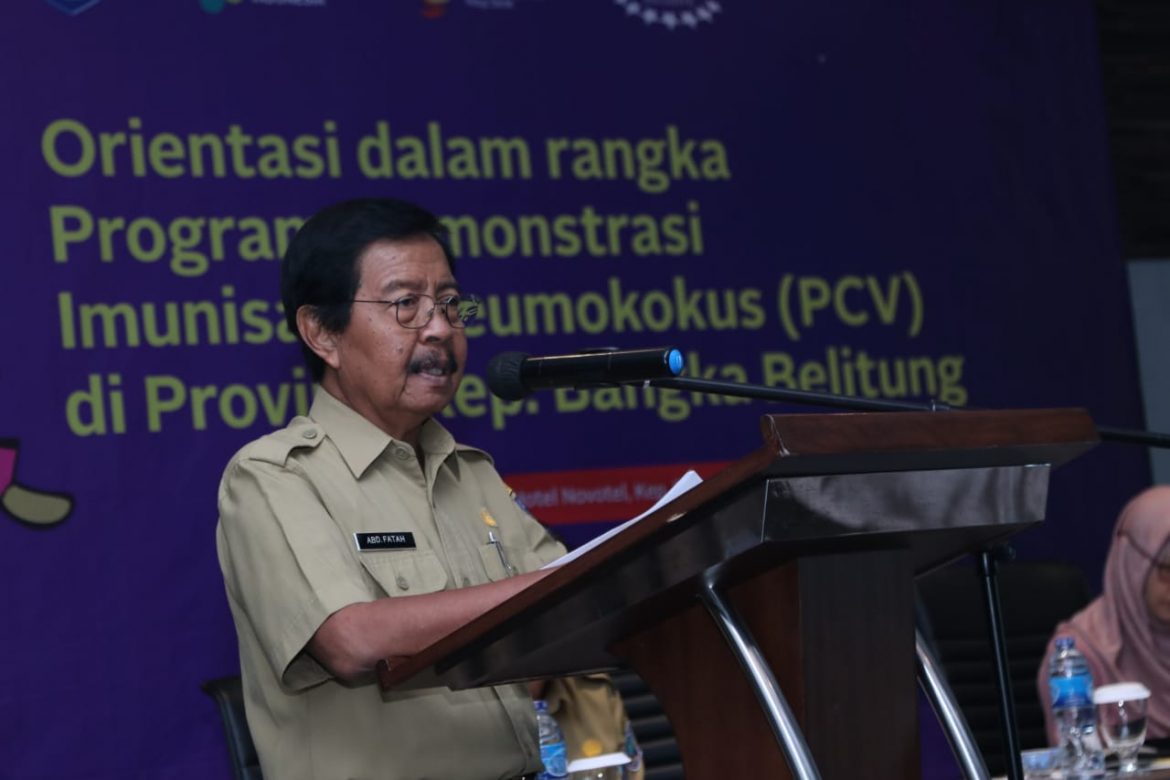 Wagub Abdul Fatah: Imunisasi PCV Penting untuk Cegah Penyakit Berbahaya