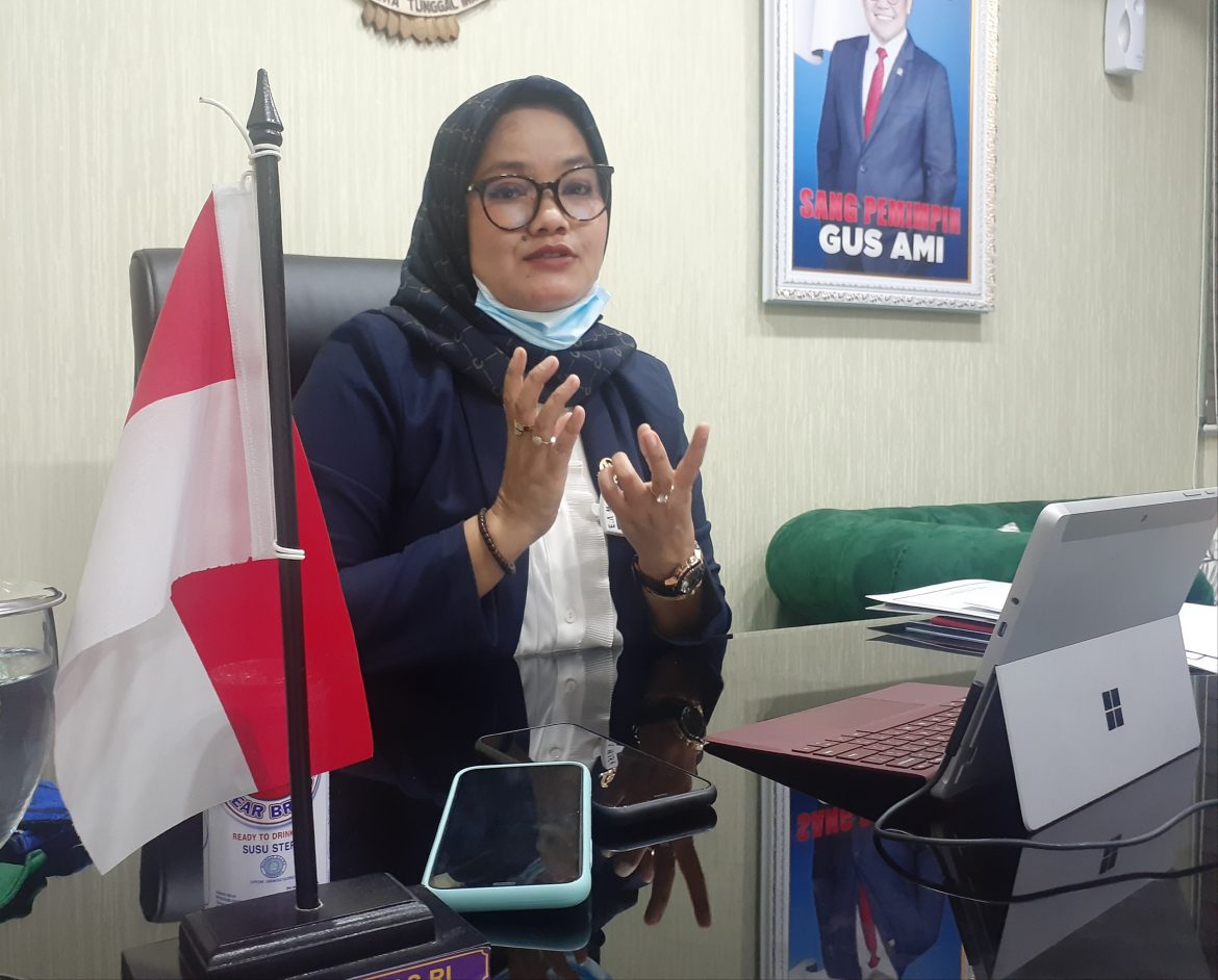 Anggota Komisi XI DPR Fraksi PKB Ela Siti Nuryamah