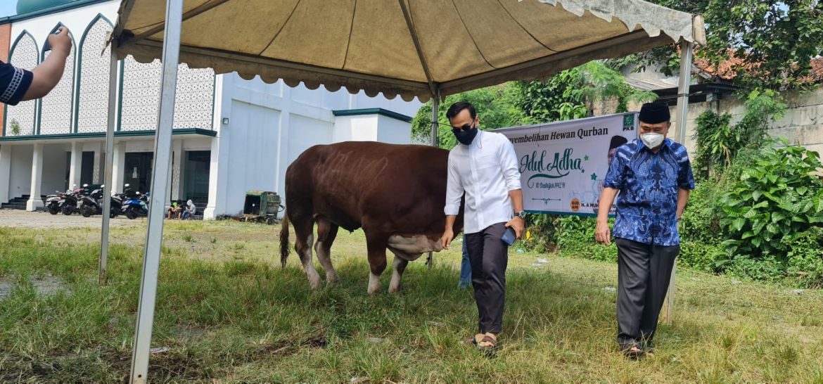 Anggota DPR FPKB Rano Alfath (kemeja putih) berbagi 19 hewan qurban, Selasa (20/7/2021)