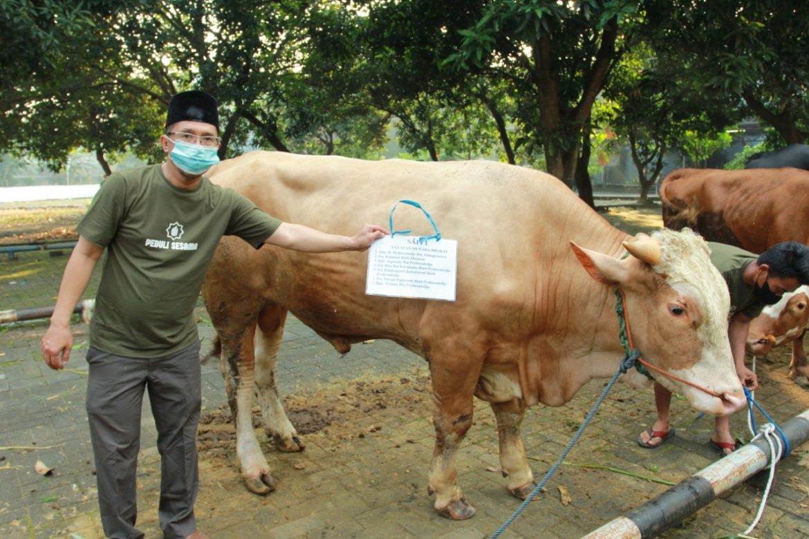 foto Pak Jamil Masjid Universitas Mercu Buana Salurkan Ribuan Paket Qurban