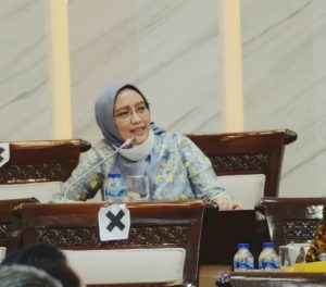 Anggota Komisi XI DPR Fraksi PKB Farida Hidayati