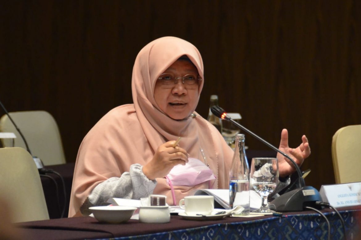 Anggota Komisi XI DPR Fraksi PKS Anis Byarwati