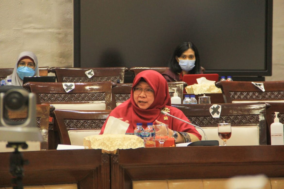 Anggota Komisi XI DPR Fraksi PKS Anis Byarwati