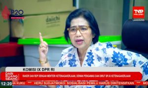 Anggota Komisi IX DPR Fraksi NasDem Irma Suryani Chaniago
