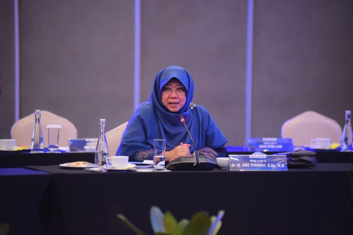 Anggota Komisi XI DPR Fraksi PKS Anis Byarwati