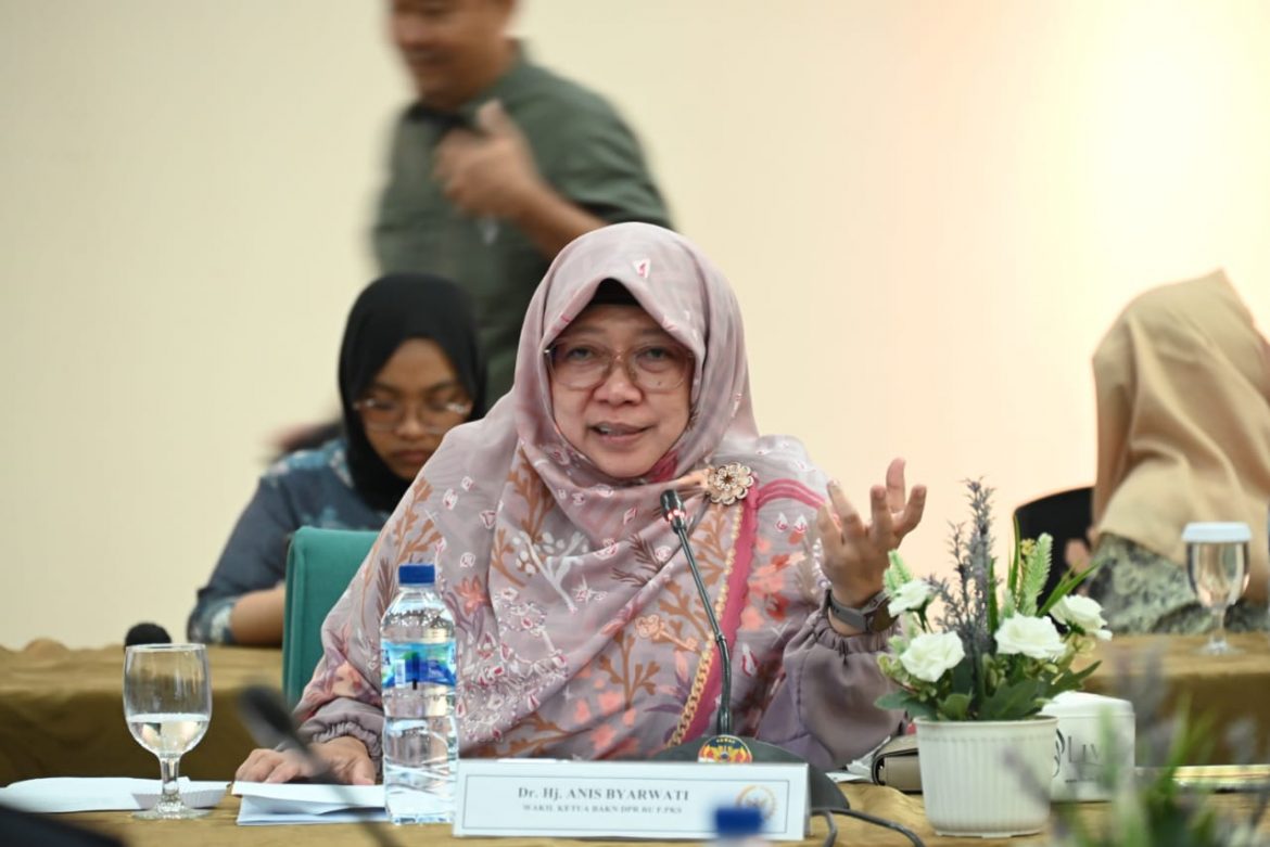 Anggota Komisi XI DPR Fraksi PKS Anis Byarwati Anggota Komisi XI DPR Fraksi PKS Anis Byarwati