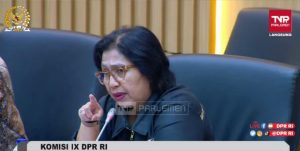 Anggota Komisi IX DPR Fraksi NasDem Irma Suryani Chaniago