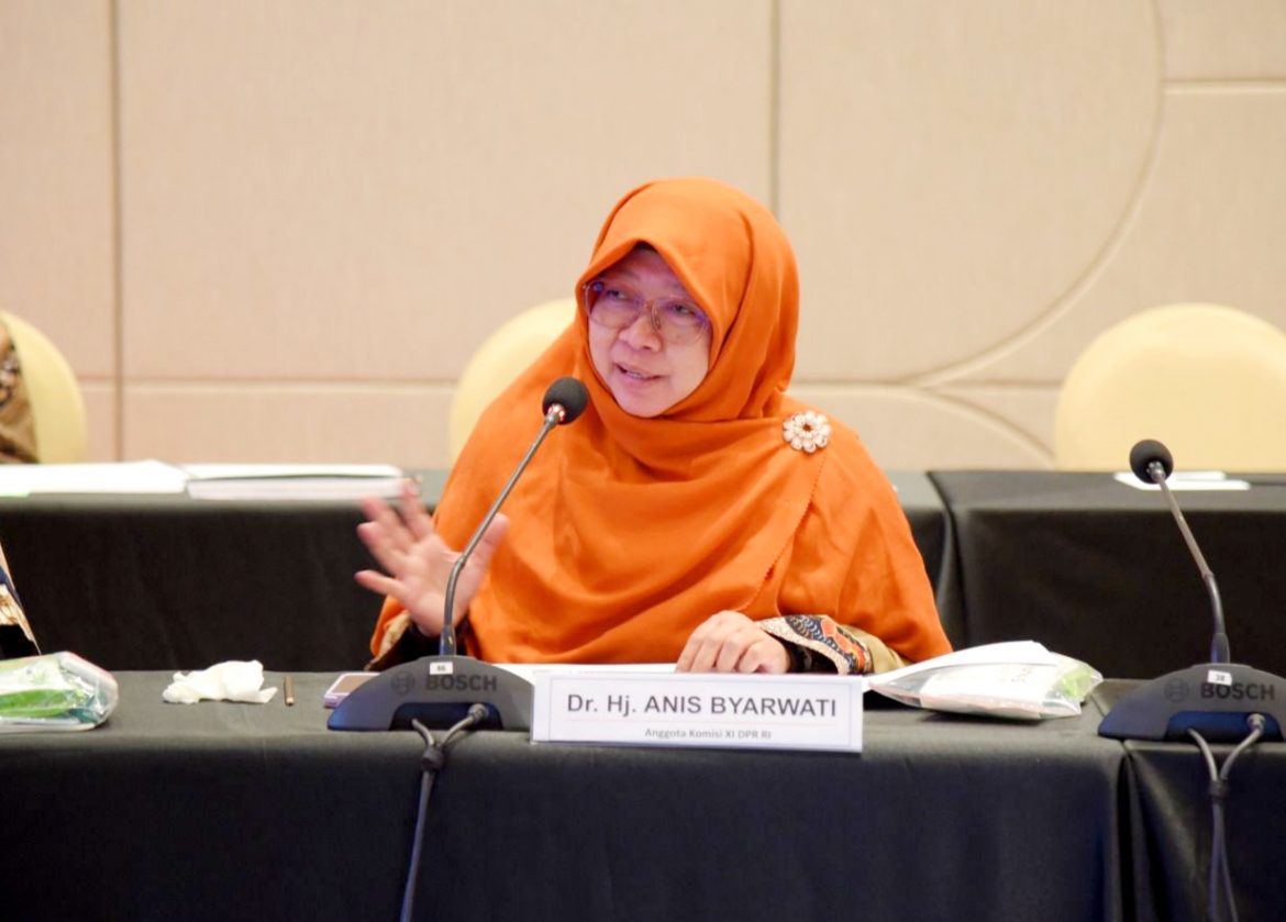 Anggota Komisi XI DPR Fraksi PKS Anis Byarwati