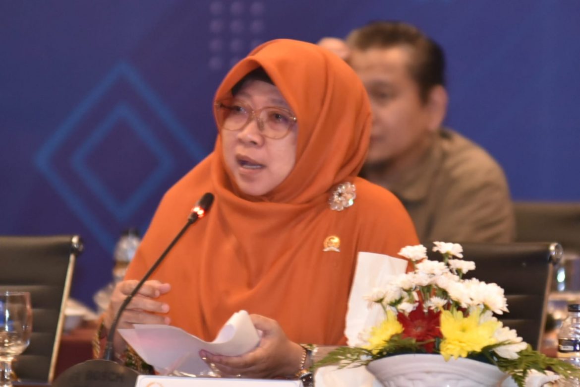 Anggota Komisi XI DPR Fraksi PKS Anis Byarwati