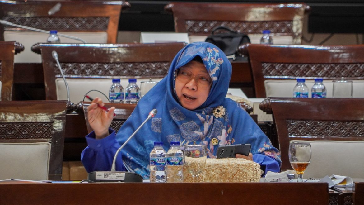 Anggota Komisi XI DPR Fraksi PKS Anis Byarwati