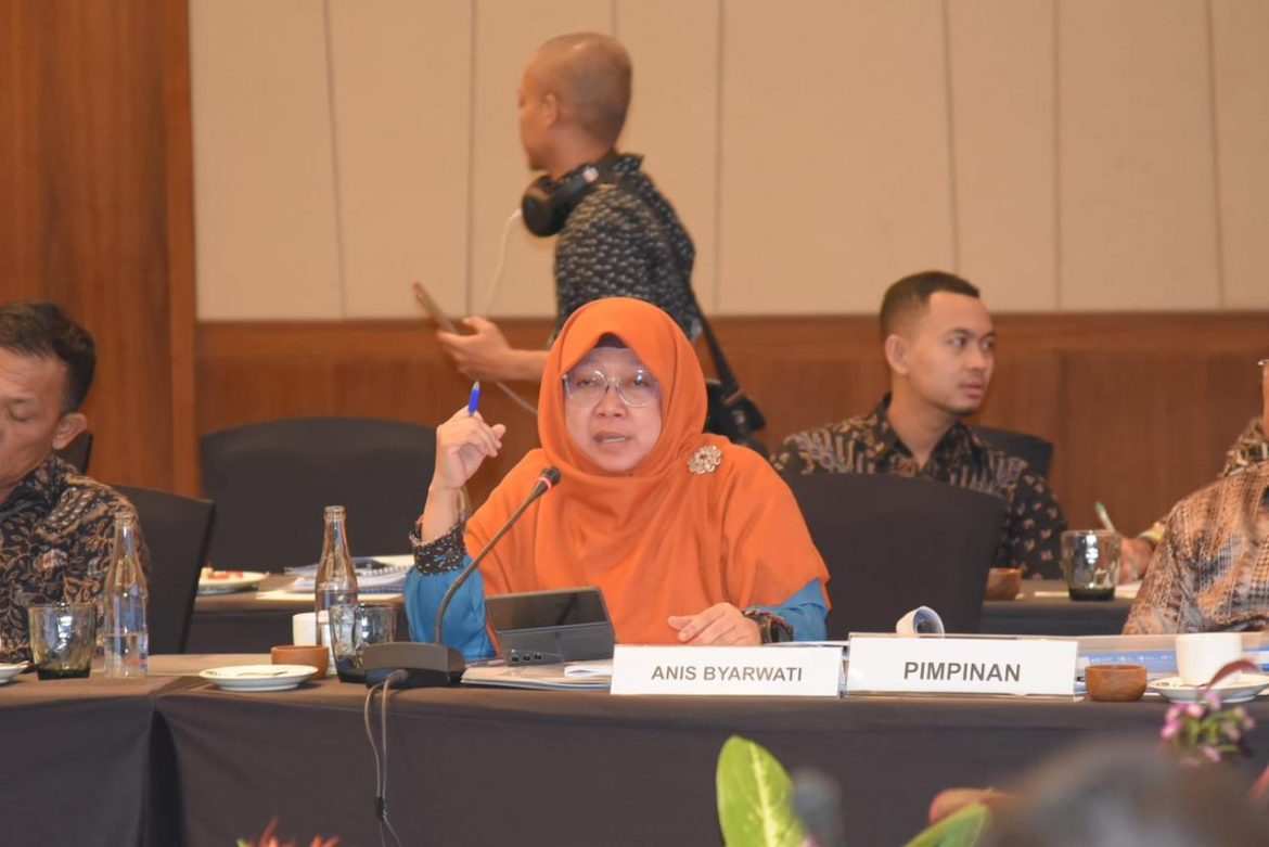 Anggota Komisi XI DPR Fraksi PKS Anis Byarwati Anggota Komisi XI DPR Fraksi PKS Anis Byarwati