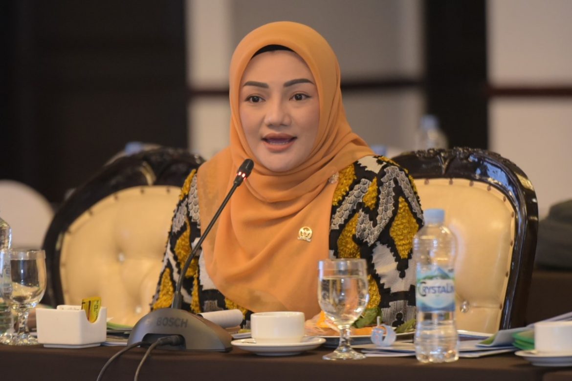 Anggota Komisi III DPR Fraksi Golkar Adde Rosi Khoerunnisa