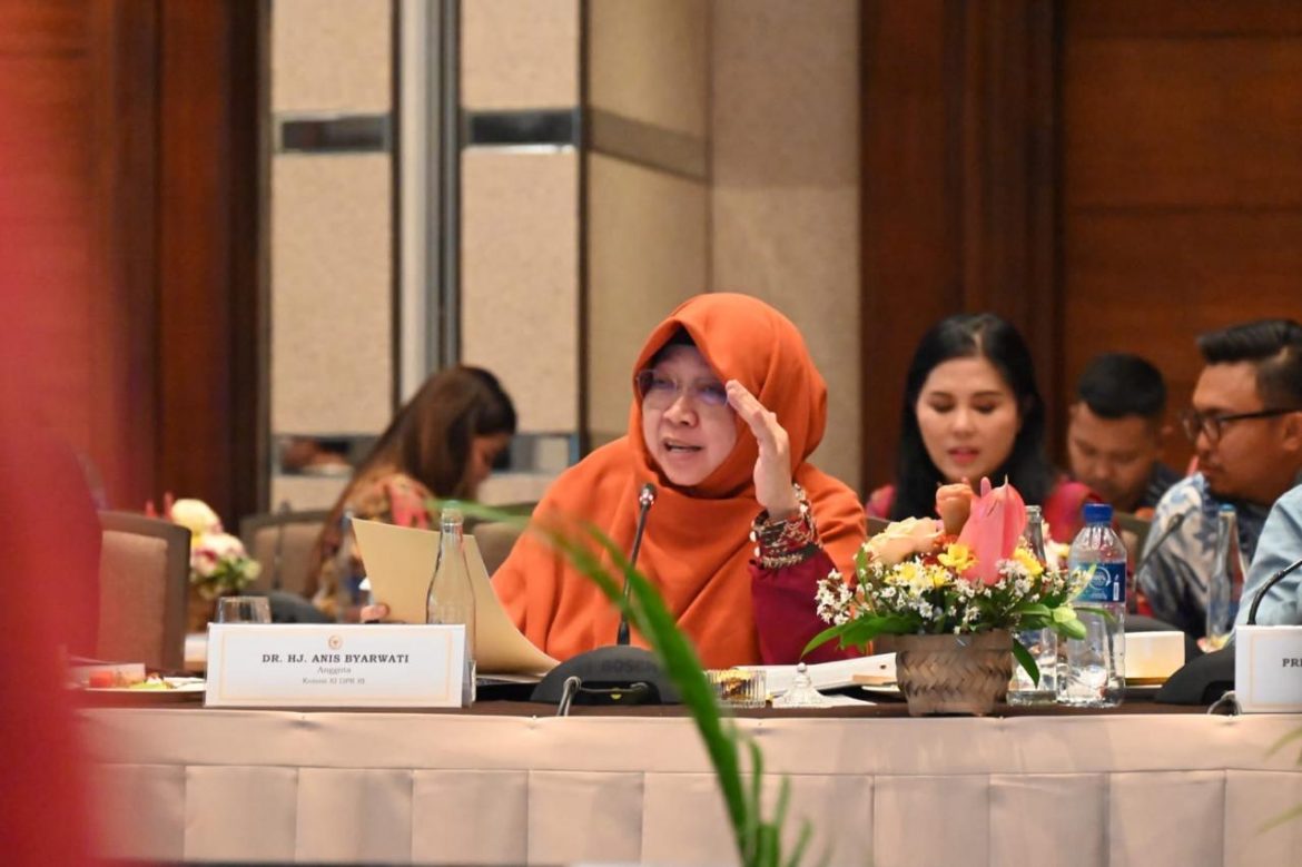 Anggota Komisi XI DPR Fraksi PKS Anis Byarwati