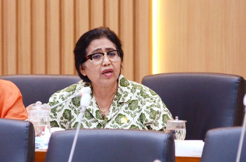 Anggota Komisi IX DPR Fraksi NasDem Irma Suryani Chaniago.