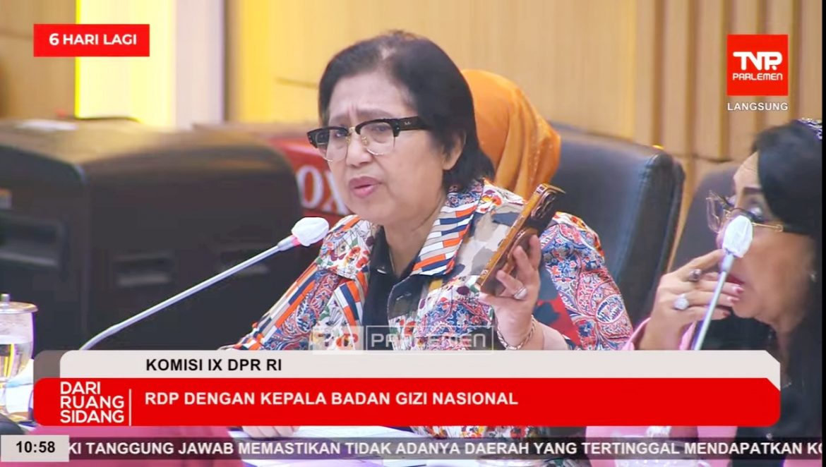 Anggota Komisi IX DPR Fraksi NasDem Irma Suryani Chaniago