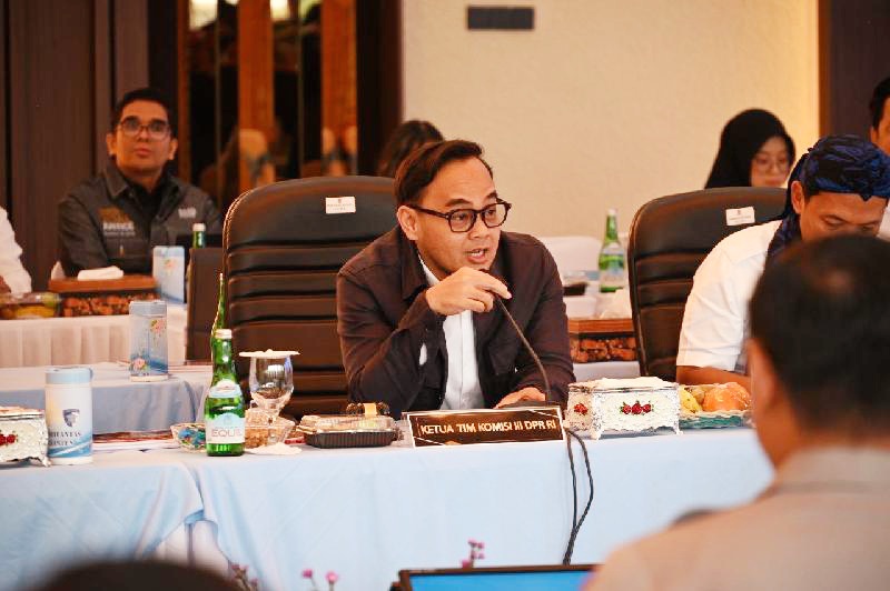 Wakil Ketua Komisi III DPR Fraksi PKB Mohamad Rano Alfath.