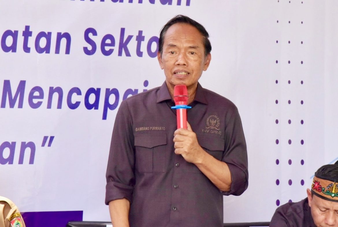Anggota DPR RI Fraksi Demokrat Bambang Purwanto.