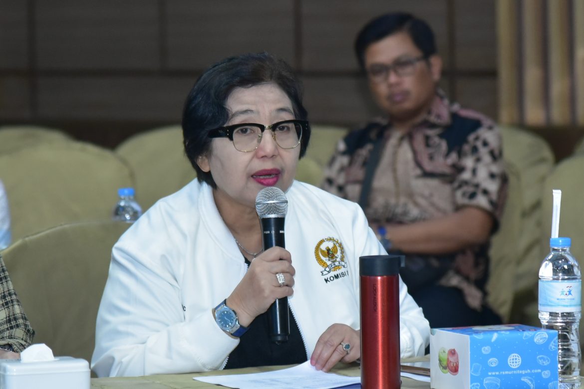 Anggota Komisi IX DPR Fraksi NasDem Irma Suryani Chaniago.