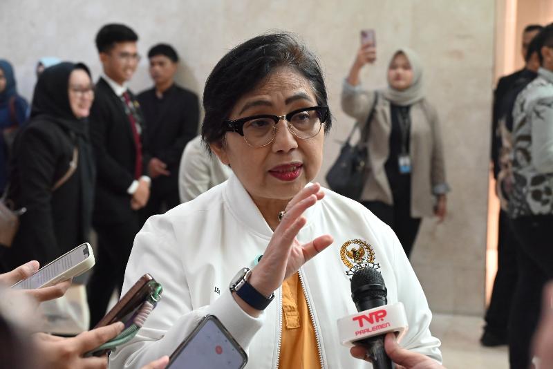Anggota Komisi IX DPR Fraksi Partai NasDem Irma Suryani Chaniago.