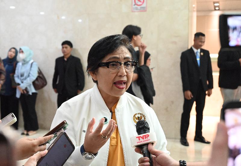 Anggota Komisi IX DPR Fraksi Partai NasDem Irma Suryani Chaniago.
