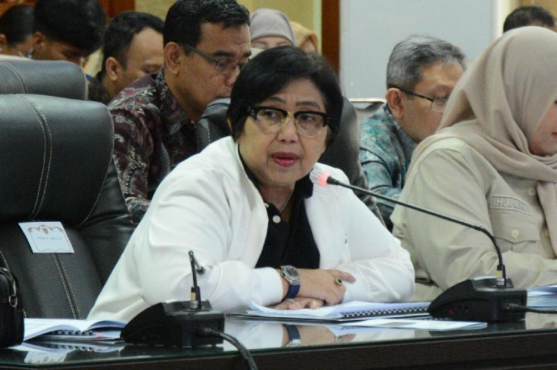Anggota Komisi IX DPR Fraksi NasDem Irma Suryani Chaniago.