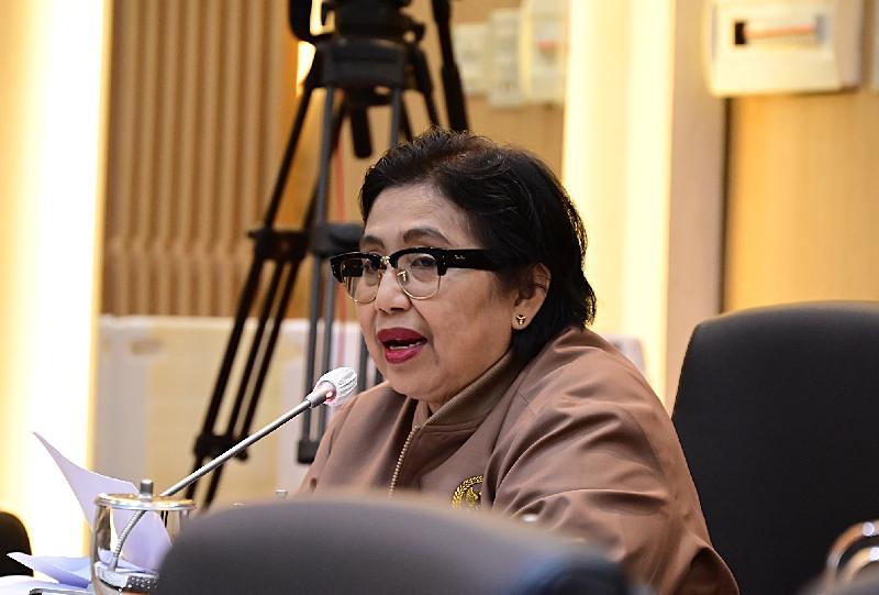 Anggota Komisi IX DPR Fraksi NasDem Irma Suryani Chaniago.