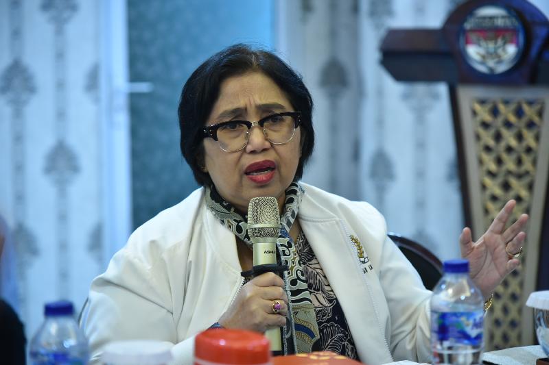 Anggota Komisi IX DPR Fraksi Partai NasDem Irma Suryani Chaniago