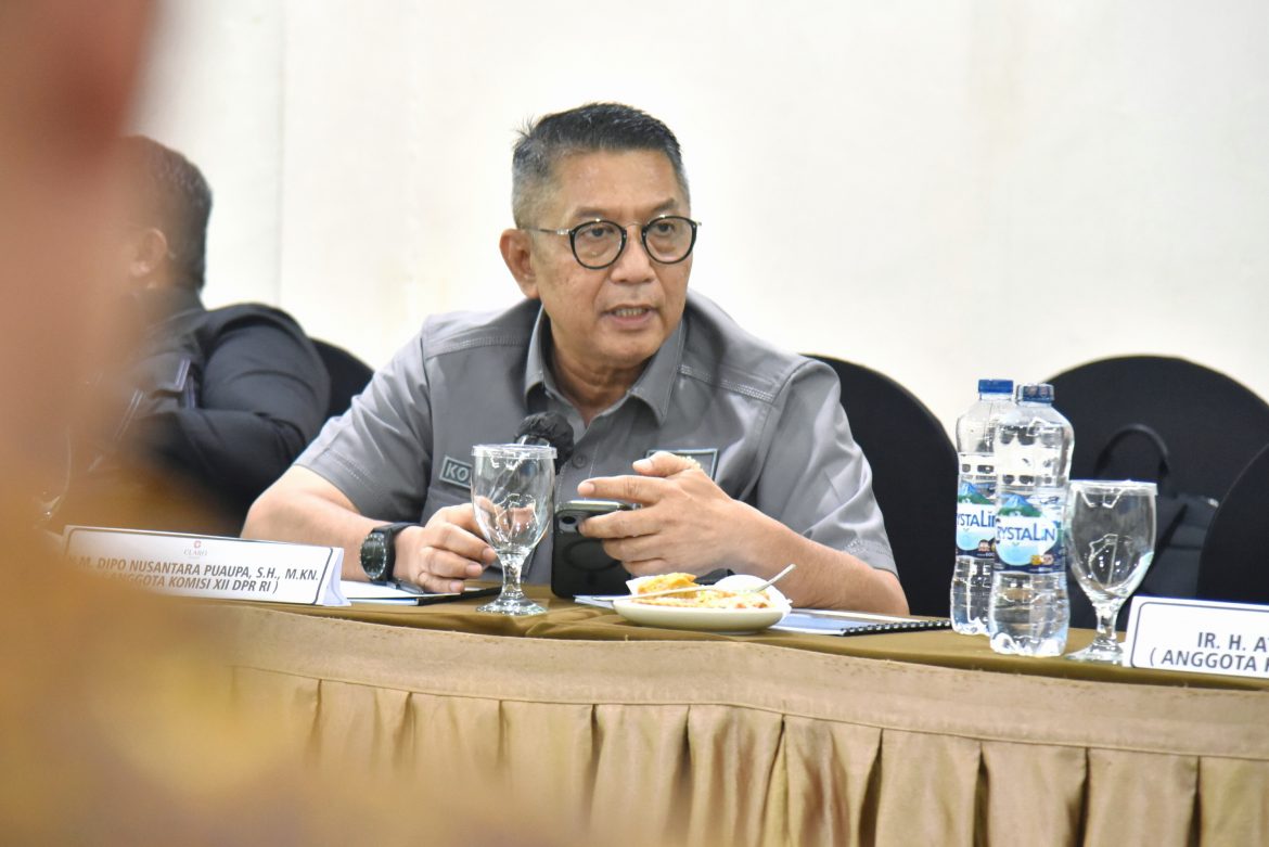 Skema Bagi Hasil Tambang Nikel antara Pusat dan Daerah Harus Adil