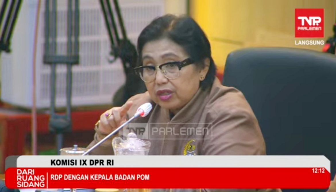 Anggota Komisi IX DPR Fraksi NasDem Irma Suryani Chaniago