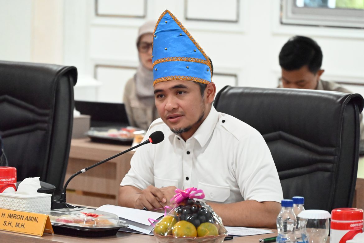 Wakil Ketua MKD DPR Fraksi Gerindra Imron Amin
