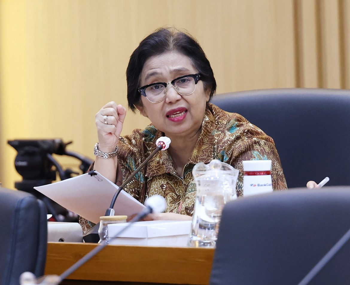 Anggota Komisi IX DPR Fraksi NasDem Irma Suryani Chaniago.