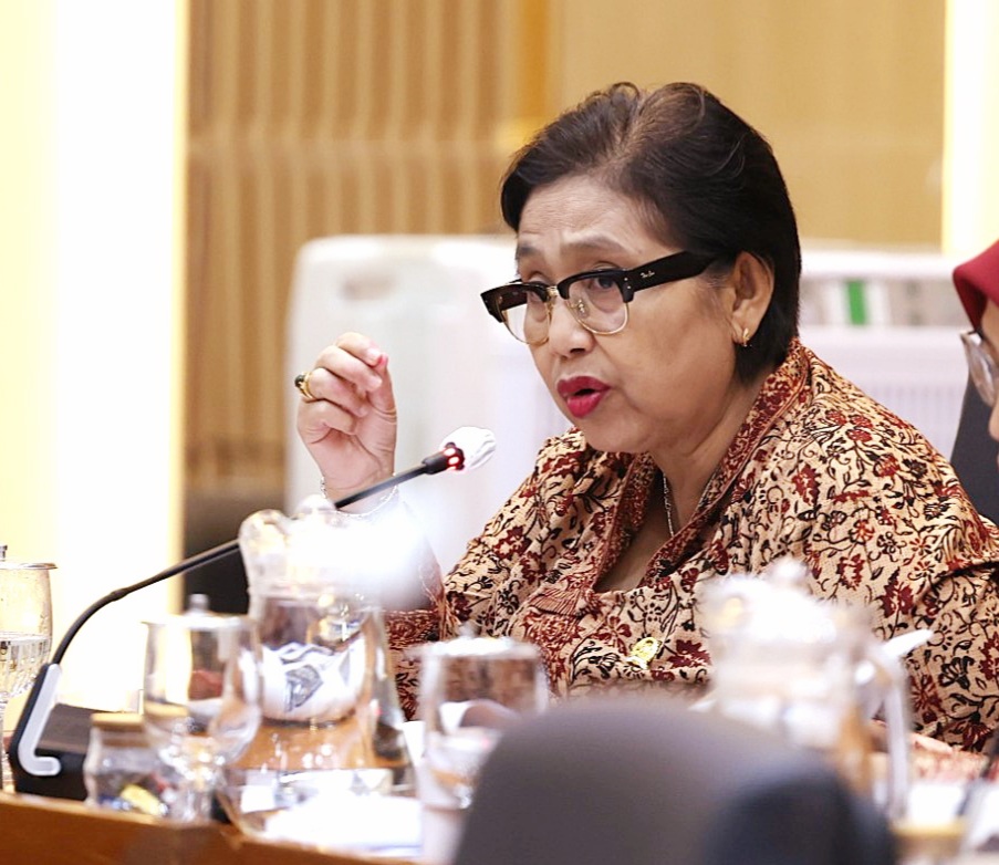 Anggota Komisi IX DPR Fraksi Partai NasDem Irma Suryani Chaniago