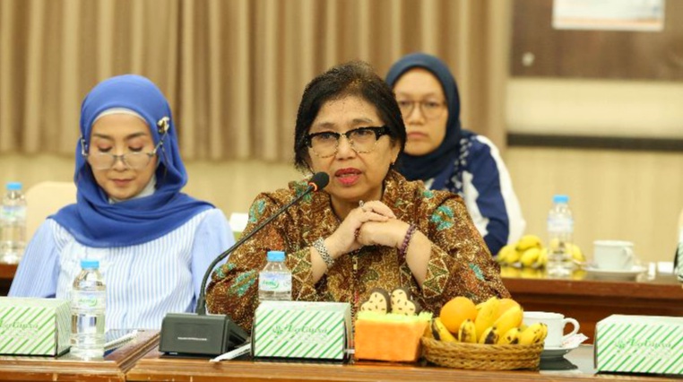 Anggota BURT DPR/Anggota Komisi IX DPR Fraksi NasDem Irma Suryani Chaniago