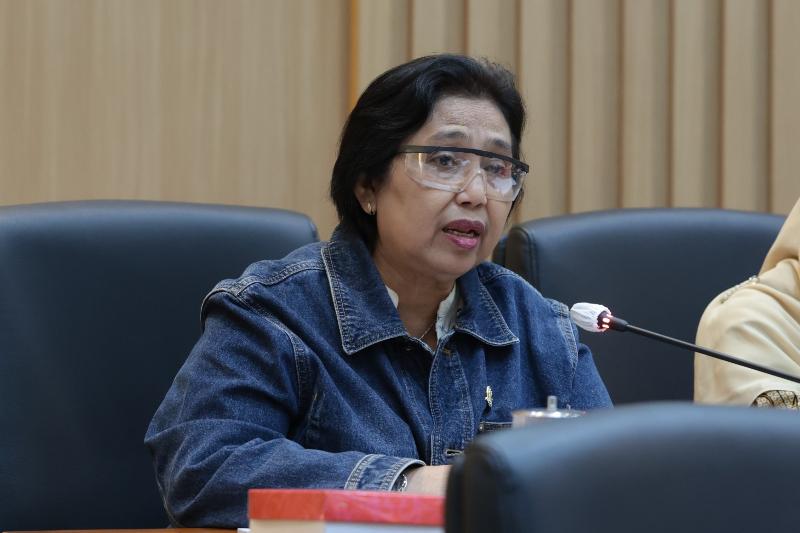 Anggota Komisi IX DPR Fraksi Partai NasDem Irma Suryani Chaniago.