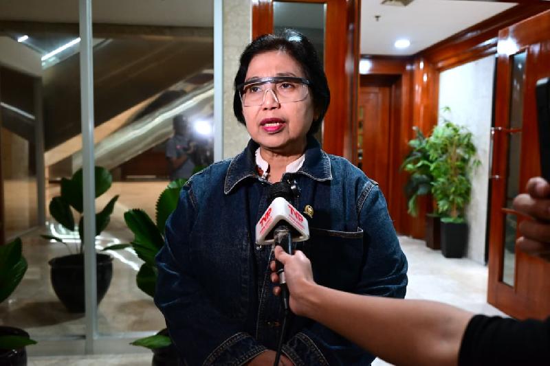 Anggota Komisi IX DPR Fraksi Partai NasDem Irma Suryani Chaniago.