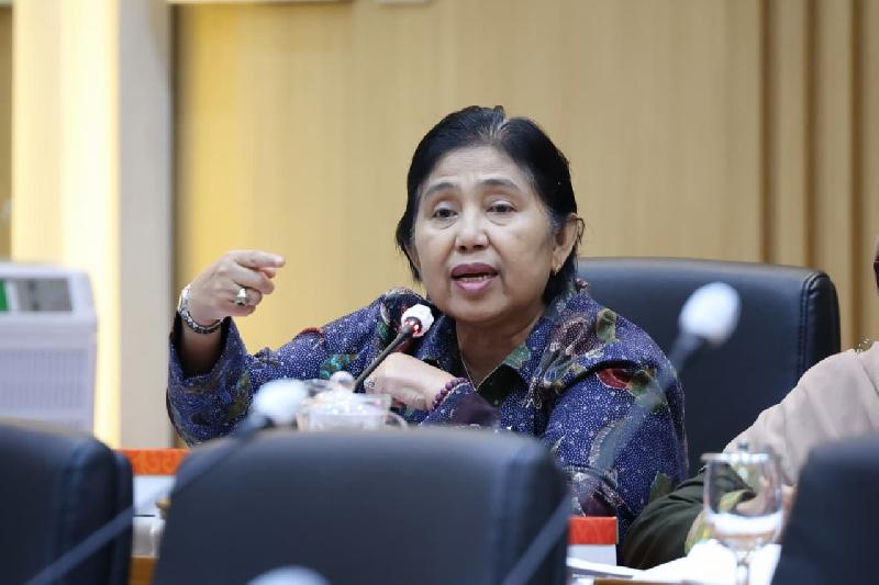 Anggota Komisi IX DPR Fraksi Partai NasDem Irma Suryani Chaniago.