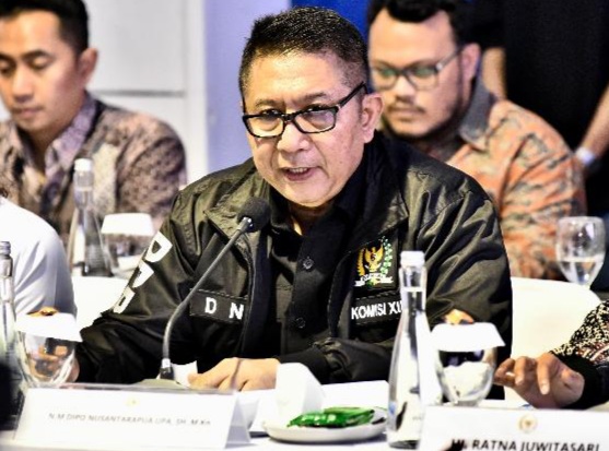 Anggota Komisi XII DPR Fraksi PKB Dipo Nusantara Pua Upa. Foto: dpr.go.id