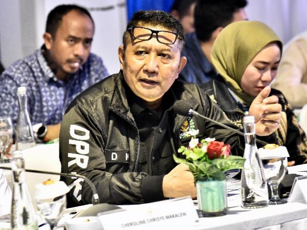 Anggota Komisi XII DPR Fraksi PKB Dipo Nusantara Pua Upa.