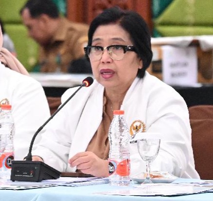 Anggota Komisi IX DPR Fraksi Partai NasDem Irma Suryani Chaniago.