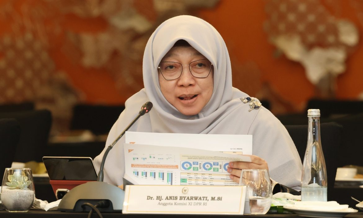 Anggota Komisi XI DPR Fraksi PKS Anis Byarwati.
